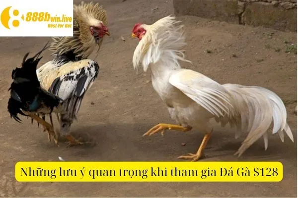 Đá Gà S128 – Trận Đấu Gà Đỉnh Cao Tại S128